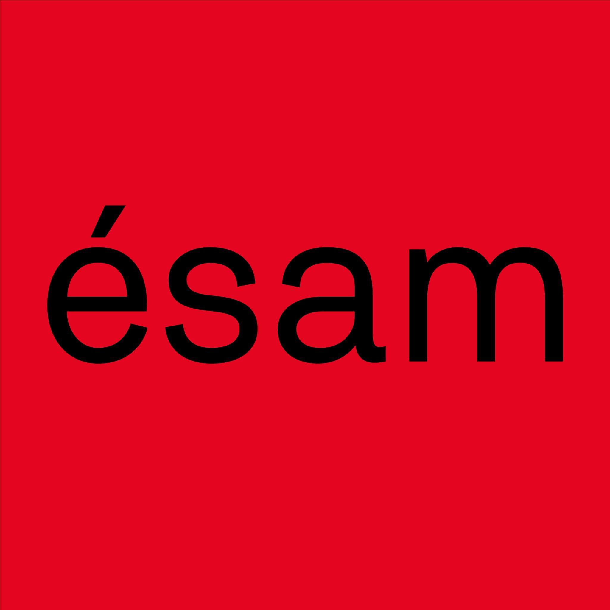 Logo ESAM Caen/Cherbourg
